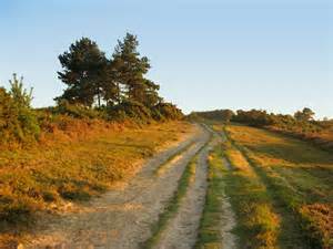 Early Autumn Landscape
